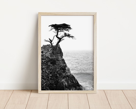 Lone Cypress No. 01