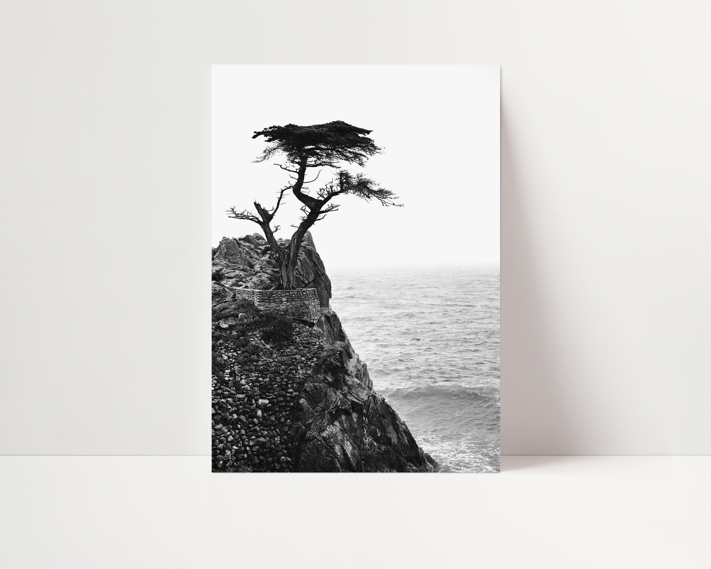 Lone Cypress No. 01
